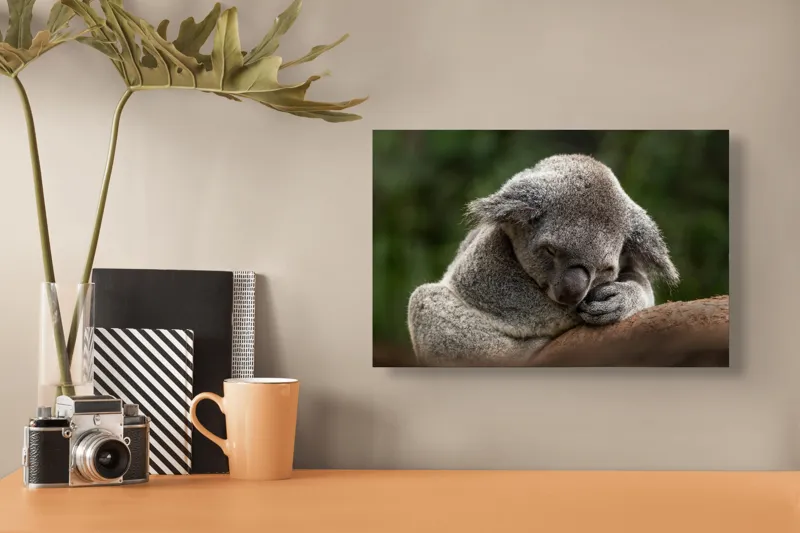 Tablou Canvas, "Koala dormind în îmbrățișarea lemnului", Somn, Liniște, Blândețe, Natură, Mângâiere, Pădure, Relaxare, Blană, 39 x 26 cm – poza 3