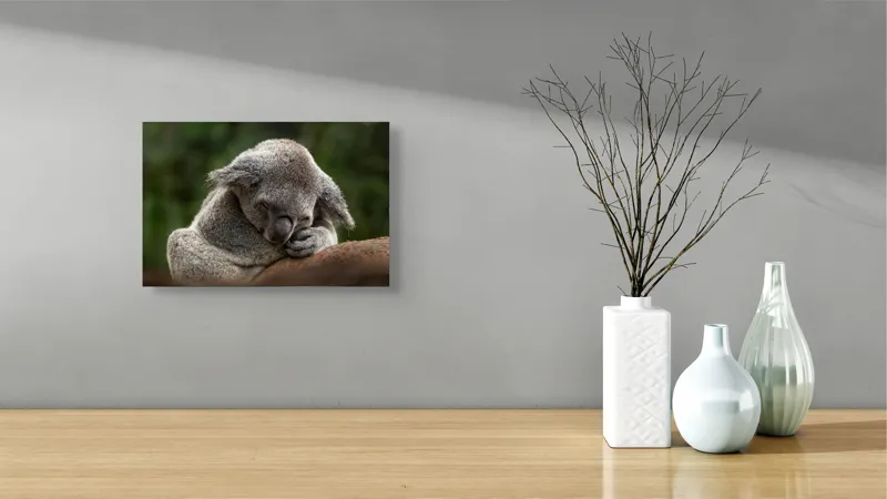 Tablou Canvas, "Koala dormind în îmbrățișarea lemnului", Somn, Liniște, Blândețe, Natură, Mângâiere, Pădure, Relaxare, Blană, 39 x 26 cm – poza 8