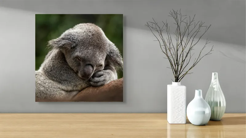 Tablou Canvas, "Koala dormind în îmbrățișarea lemnului", Somn, Liniște, Blândețe, Natură, Mângâiere, Pădure, Relaxare, Blană, 50 x 50 cm – poza 3
