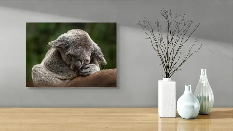 Tablou Canvas, "Koala dormind în îmbrățișarea lemnului", Somn, Liniște, Blândețe, Natură, Mângâiere, Pădure, Relaxare, Blană, 54 x 39 cm – poza 3