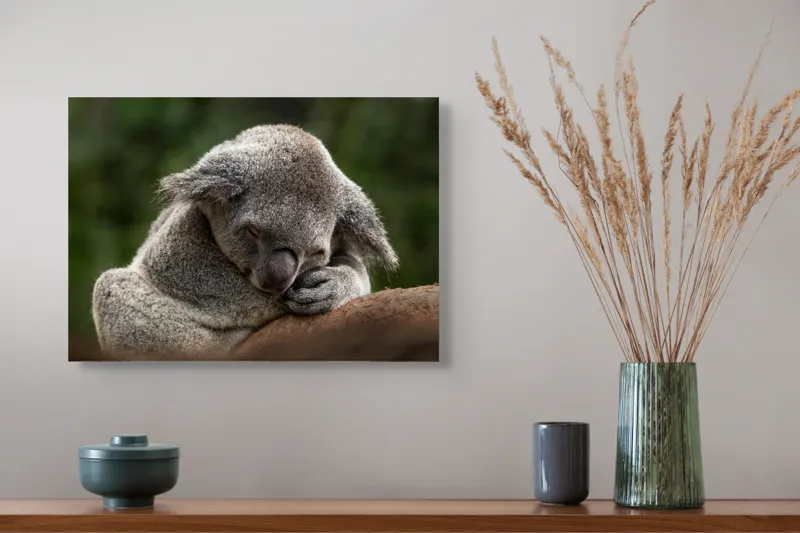Tablou Canvas, "Koala dormind în îmbrățișarea lemnului", Somn, Liniște, Blândețe, Natură, Mângâiere, Pădure, Relaxare, Blană, 54 x 39 cm – poza 4