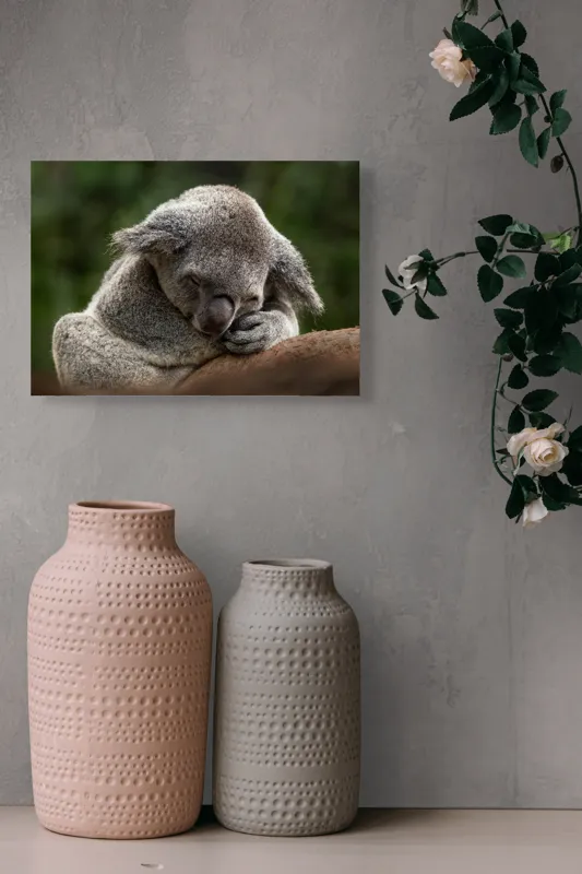 Tablou Canvas, "Koala dormind în îmbrățișarea lemnului", Somn, Liniște, Blândețe, Natură, Mângâiere, Pădure, Relaxare, Blană, 54 x 39 cm – poza 8