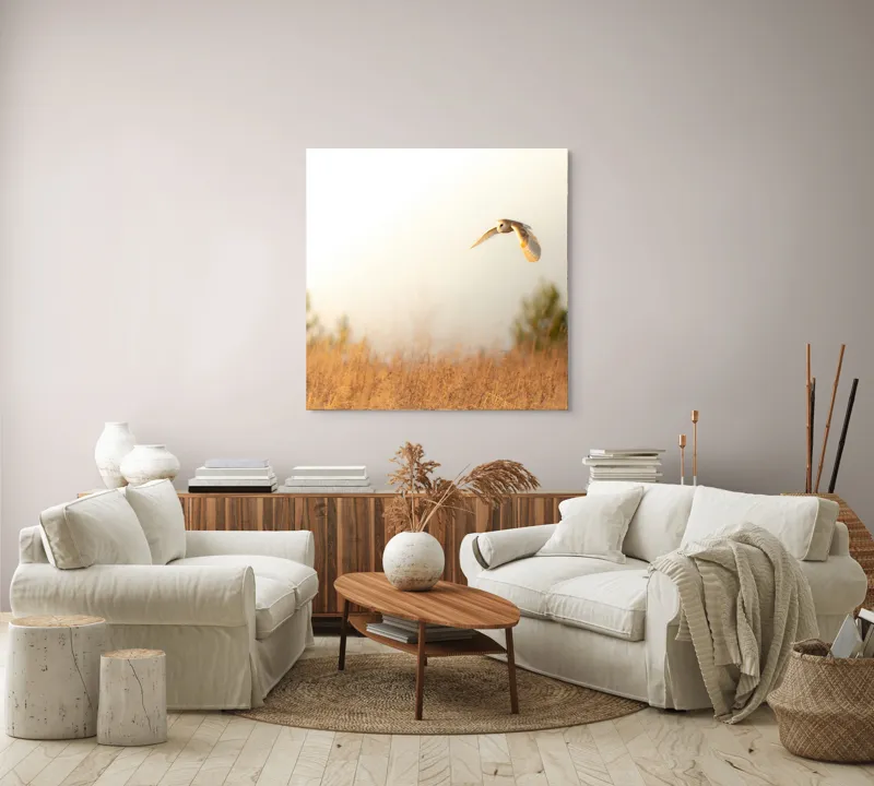 Tablou Canvas, "Bufnița planând la asfințit", Bufniță, Zbor, Câmp, Cer, Lumină, Peisaj, Natură, Frunziș, 100 x 100 cm – poza 3