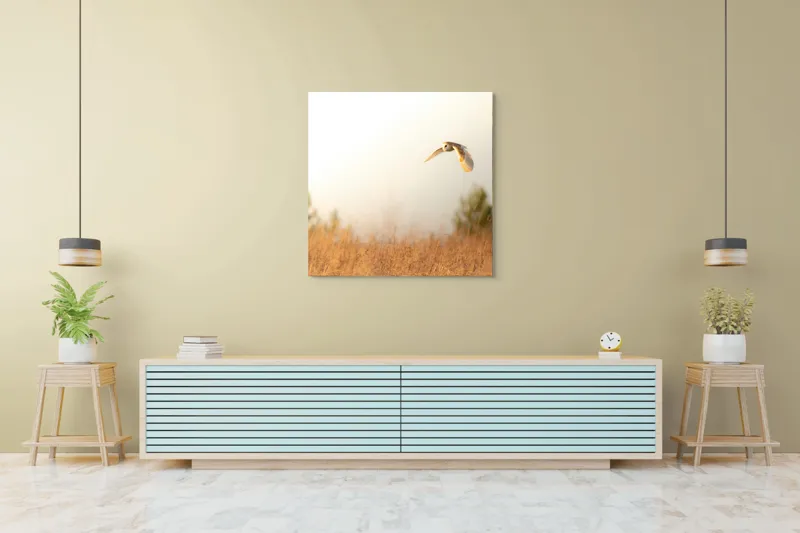 Tablou Canvas, "Bufnița planând la asfințit", Bufniță, Zbor, Câmp, Cer, Lumină, Peisaj, Natură, Frunziș, 100 x 100 cm – poza 5