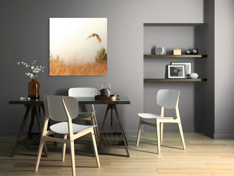 Tablou Canvas, "Bufnița planând la asfințit", Bufniță, Zbor, Câmp, Cer, Lumină, Peisaj, Natură, Frunziș, 100 x 100 cm – poza 6