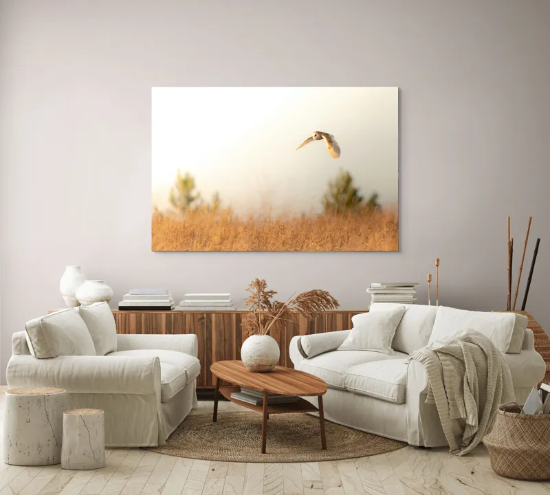 Tablou Canvas, "Bufnița planând la asfințit", Bufniță, Zbor, Câmp, Cer, Lumină, Peisaj, Natură, Frunziș, 150 x 100 cm – poza 3