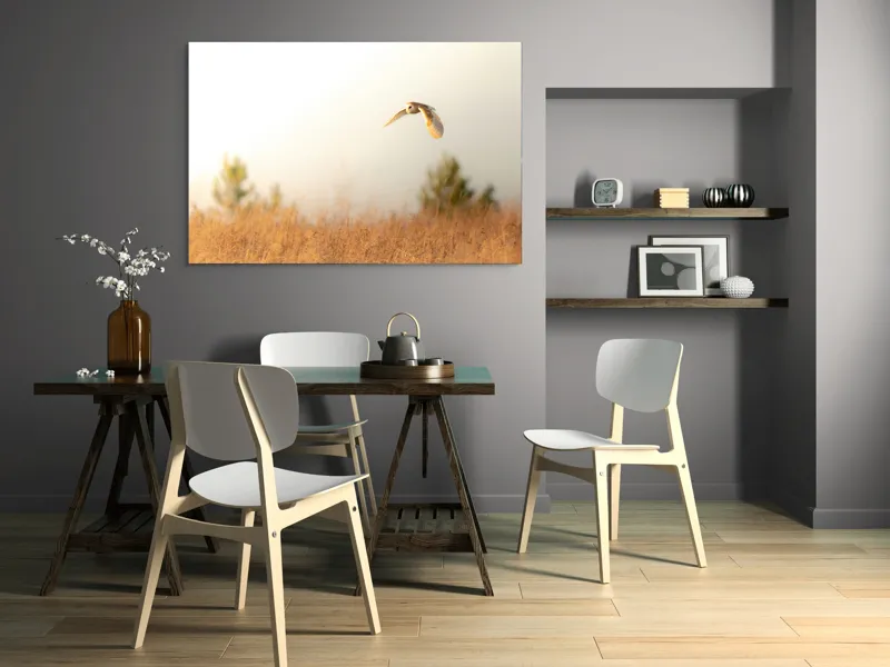 Tablou Canvas, "Bufnița planând la asfințit", Bufniță, Zbor, Câmp, Cer, Lumină, Peisaj, Natură, Frunziș, 150 x 100 cm – poza 5