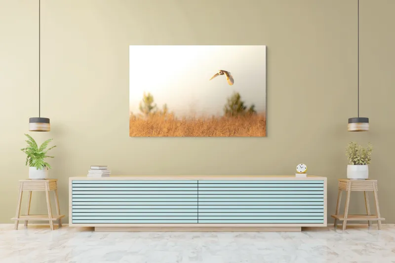 Tablou Canvas, "Bufnița planând la asfințit", Bufniță, Zbor, Câmp, Cer, Lumină, Peisaj, Natură, Frunziș, 150 x 100 cm – poza 6