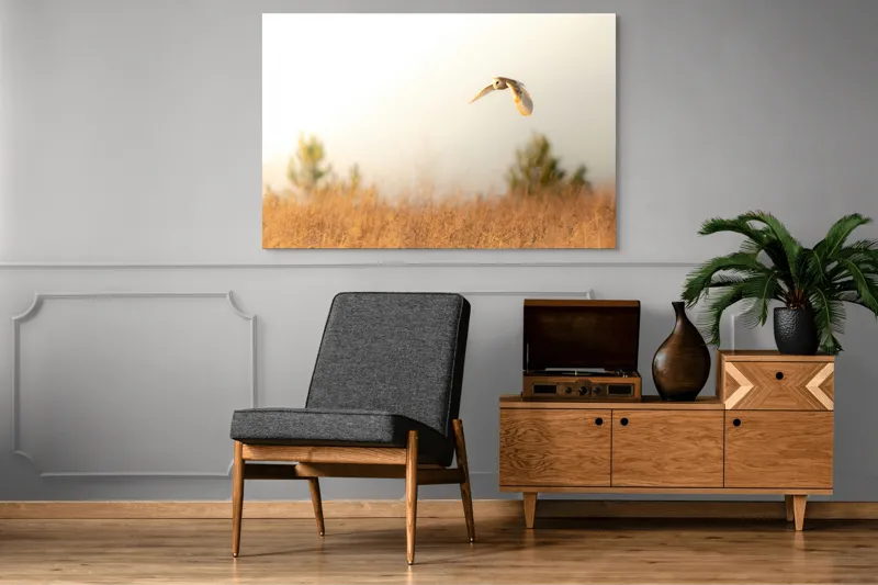 Tablou Canvas, "Bufnița planând la asfințit", Bufniță, Zbor, Câmp, Cer, Lumină, Peisaj, Natură, Frunziș, 150 x 100 cm – poza 8