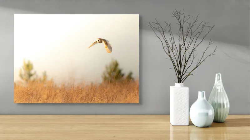Tablou Canvas, "Bufnița planând la asfințit", Bufniță, Zbor, Câmp, Cer, Lumină, Peisaj, Natură, Frunziș, 70 x 50 cm – poza 3