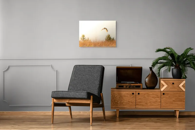 Tablou Canvas, "Bufnița planând la asfințit", Bufniță, Zbor, Câmp, Cer, Lumină, Peisaj, Natură, Frunziș, 70 x 50 cm – poza 4