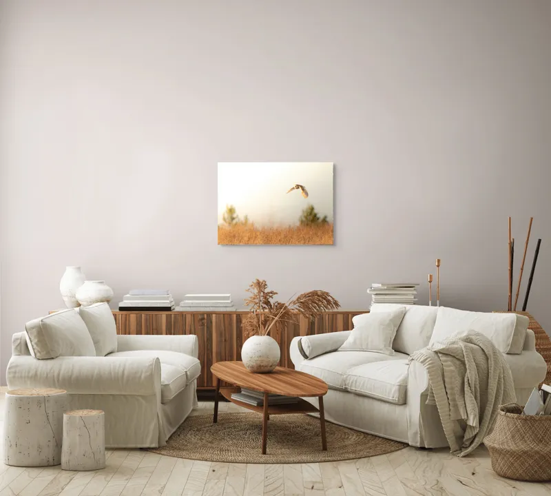 Tablou Canvas, "Bufnița planând la asfințit", Bufniță, Zbor, Câmp, Cer, Lumină, Peisaj, Natură, Frunziș, 70 x 50 cm – poza 6