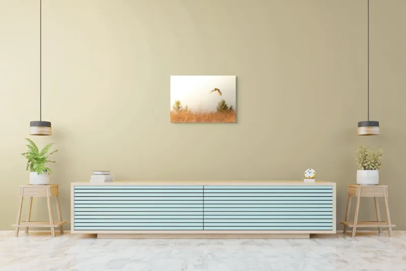 Tablou Canvas, "Bufnița planând la asfințit", Bufniță, Zbor, Câmp, Cer, Lumină, Peisaj, Natură, Frunziș, 70 x 50 cm – poza 7