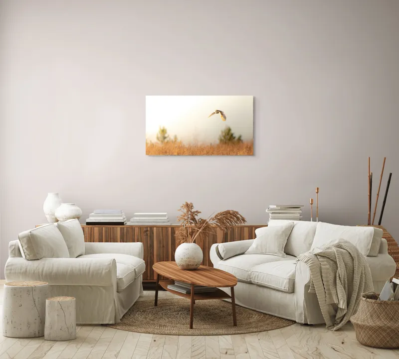 Tablou Canvas, "Bufnița planând la asfințit", Bufniță, Zbor, Câmp, Cer, Lumină, Peisaj, Natură, Frunziș, 90 x 50 cm – poza 4
