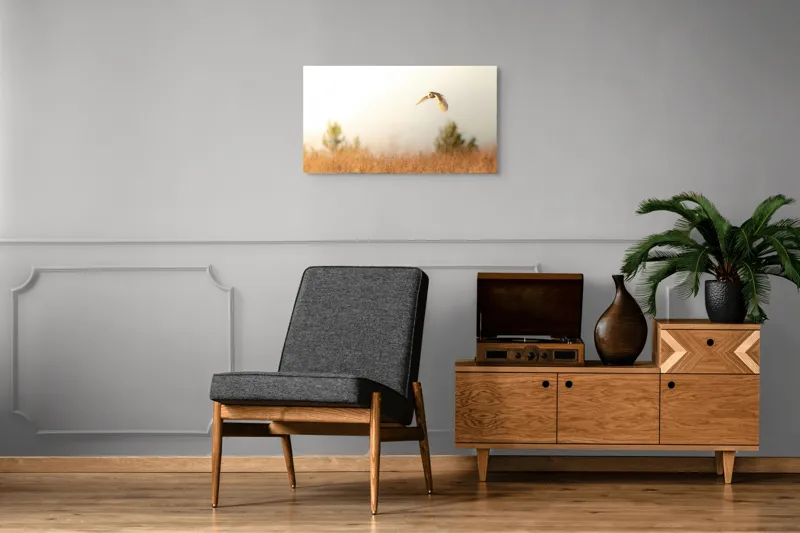 Tablou Canvas, "Bufnița planând la asfințit", Bufniță, Zbor, Câmp, Cer, Lumină, Peisaj, Natură, Frunziș, 90 x 50 cm – poza 6