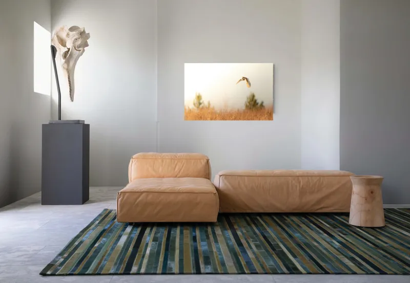 Tablou Canvas, "Bufnița planând la asfințit", Bufniță, Zbor, Câmp, Cer, Lumină, Peisaj, Natură, Frunziș, 90 x 50 cm – poza 8