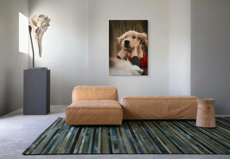 Tablou Canvas, "Catelus cu esarfa rosie in vant", Câine, Eșarfă, Blană, Urechi, Privire, Mângâiere, Natură, Prietenie, 70 x 100 cm – poza 7