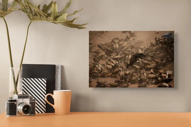Tablou Canvas, "Dansul vulturilor într-o furtună de praf", Vulturi, Căprioară, Haos, Prăfuit, Aripi, Natură, Agitație, Sălbăticie, Pradă, Supraviețuire, 39 x 26 cm – poza 3