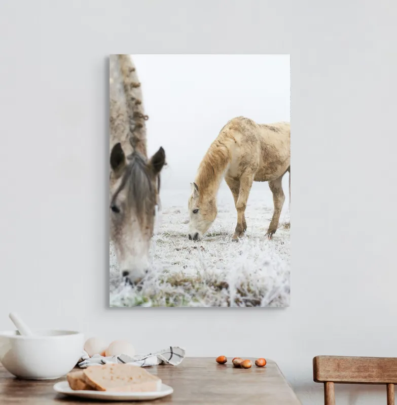 Tablou Canvas, "Cai păscând în ceața dimineții", Cal, Ger, Pajiste, Ceata, Frig, Liniste, Blana, Natura, 50 x 70 cm – poza 3