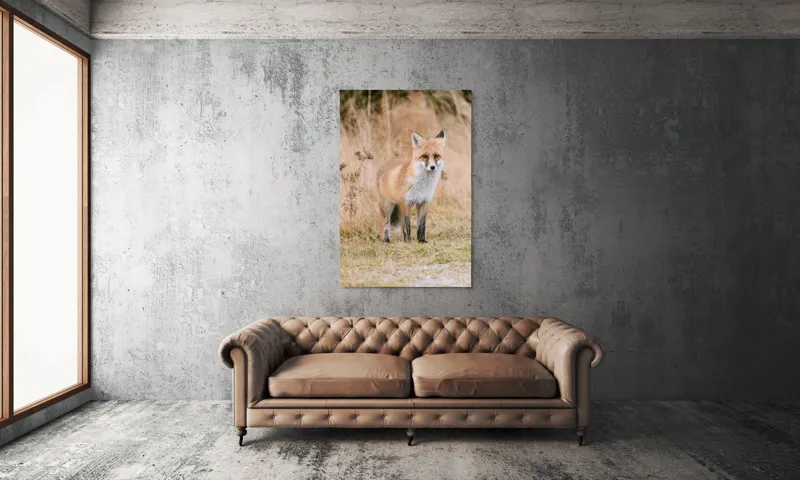 Tablou Canvas, "Vulpea în lumina toamnei aurii", Vulpe, Blană, Urechi, Privire, Natură, Peisaj, Iarbă, Frunze, 100 x 150 cm – poza 6