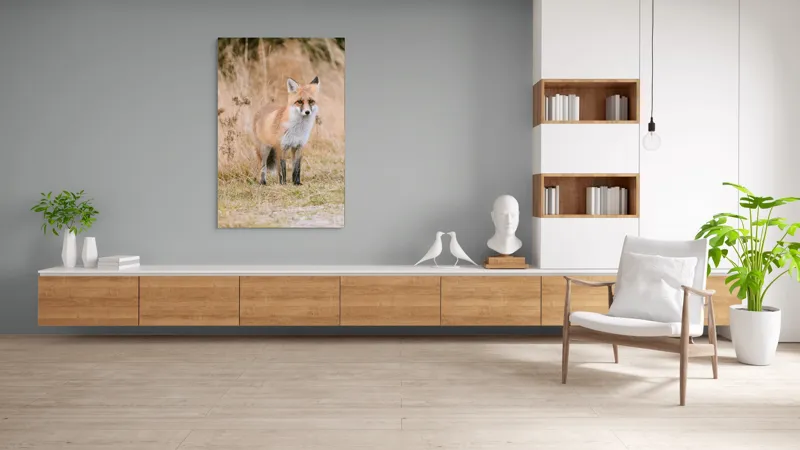 Tablou Canvas, "Vulpea în lumina toamnei aurii", Vulpe, Blană, Urechi, Privire, Natură, Peisaj, Iarbă, Frunze, 100 x 150 cm – poza 8