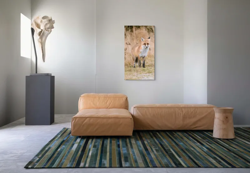 Tablou Canvas, "Vulpea în lumina toamnei aurii", Vulpe, Blană, Urechi, Privire, Natură, Peisaj, Iarbă, Frunze, 50 x 90 cm – poza 5