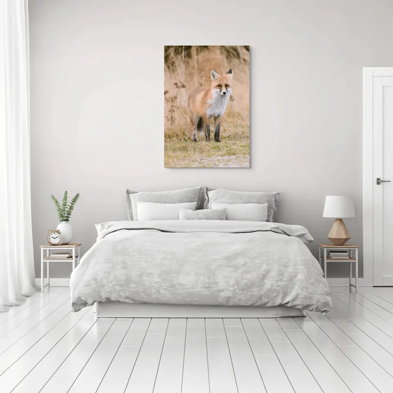 Tablou Canvas, "Vulpea în lumina toamnei aurii", Vulpe, Blană, Urechi, Privire, Natură, Peisaj, Iarbă, Frunze, 70 x 100 cm – poza 3