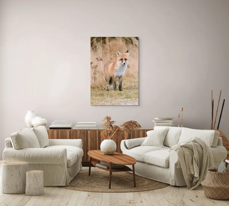 Tablou Canvas, "Vulpea în lumina toamnei aurii", Vulpe, Blană, Urechi, Privire, Natură, Peisaj, Iarbă, Frunze, 70 x 100 cm – poza 4