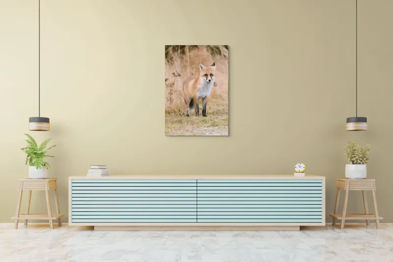 Tablou Canvas, "Vulpea în lumina toamnei aurii", Vulpe, Blană, Urechi, Privire, Natură, Peisaj, Iarbă, Frunze, 70 x 100 cm – poza 5