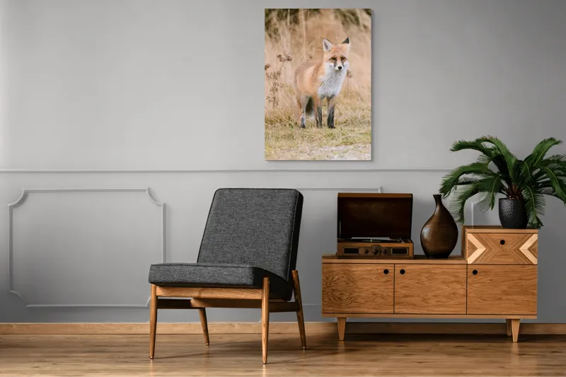 Tablou Canvas, "Vulpea în lumina toamnei aurii", Vulpe, Blană, Urechi, Privire, Natură, Peisaj, Iarbă, Frunze, 70 x 100 cm – poza 6