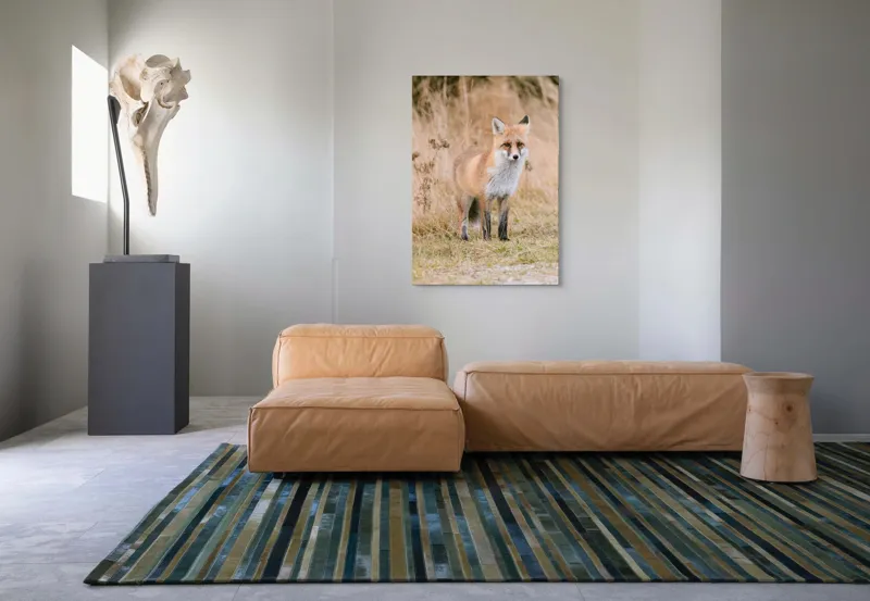 Tablou Canvas, "Vulpea în lumina toamnei aurii", Vulpe, Blană, Urechi, Privire, Natură, Peisaj, Iarbă, Frunze, 70 x 100 cm – poza 7