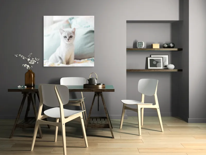 Tablou Canvas, "Pisoi curios pe pat colorat", Pisică, Blană, Gri, Pernă, Privire, Delicatețe, Blândețe, Somn, Lumină, 100 x 100 cm – poza 6