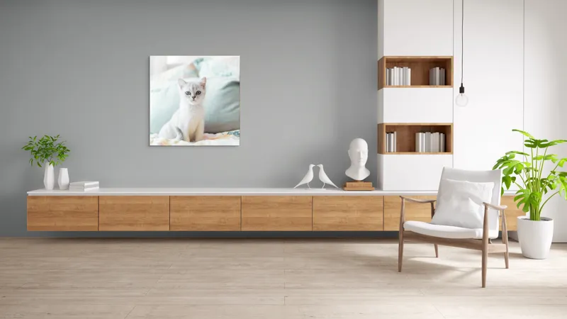 Tablou Canvas, "Pisoi curios pe pat colorat", Pisică, Blană, Gri, Pernă, Privire, Delicatețe, Blândețe, Somn, Lumină, 100 x 100 cm – poza 8