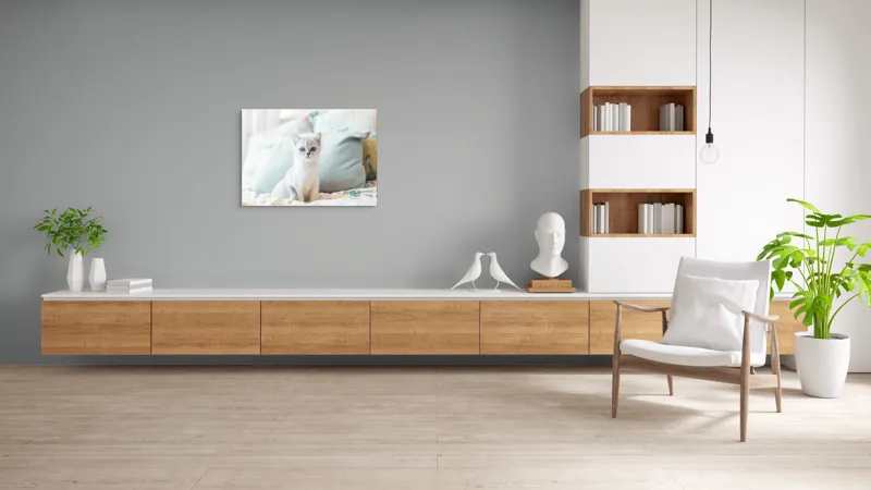 Tablou Canvas, "Pisoi curios pe pat colorat", Pisică, Blană, Gri, Pernă, Privire, Delicatețe, Blândețe, Somn, Lumină, 100 x 70 cm – poza 6