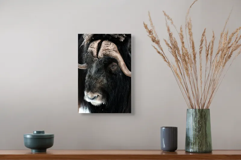 Tablou Canvas, 26 x 39 cm – poza 5