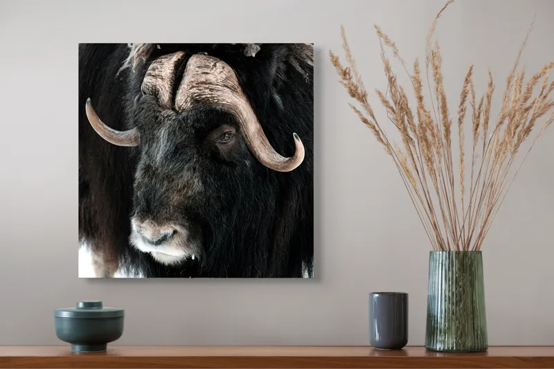 Tablou Canvas, 50 x 50 cm – poza 4
