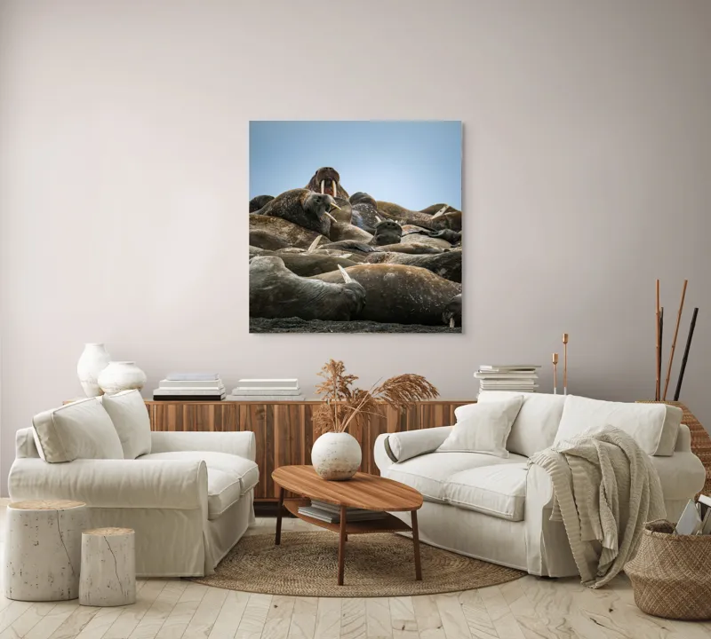 Tablou Canvas, "În împărăția morsei somnoroase", 100 x 100 cm – poza 3