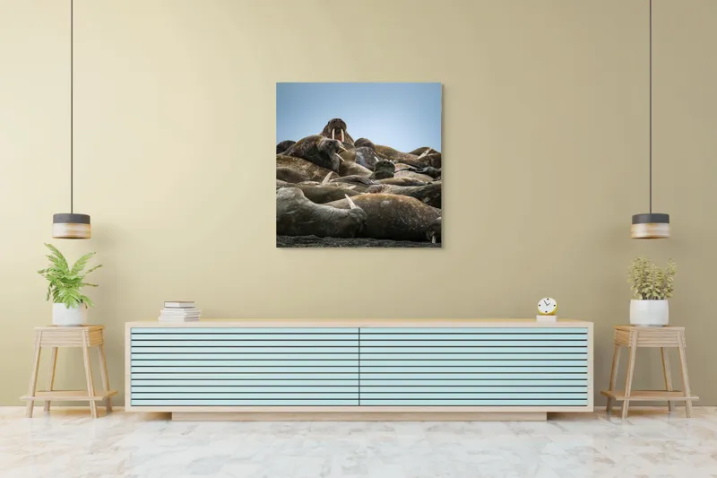 Tablou Canvas, "În împărăția morsei somnoroase", 100 x 100 cm – poza 5
