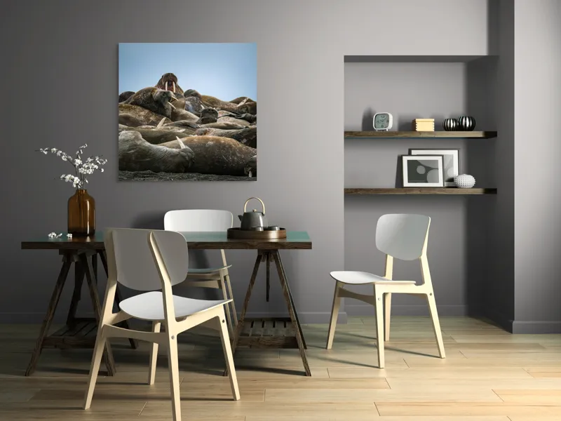 Tablou Canvas, "În împărăția morsei somnoroase", 100 x 100 cm – poza 6