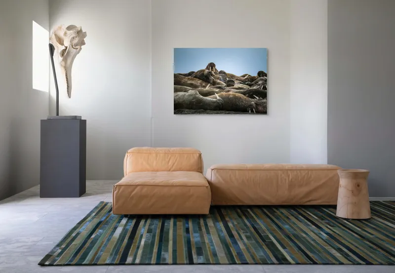 Tablou Canvas, "În împărăția morsei somnoroase", 100 x 70 cm – poza 7