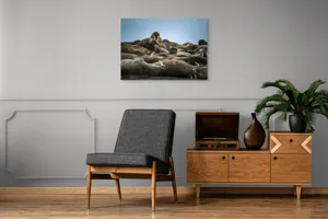 Tablou Canvas, "În împărăția morsei somnoroase", 100 x 70 cm – poza 8