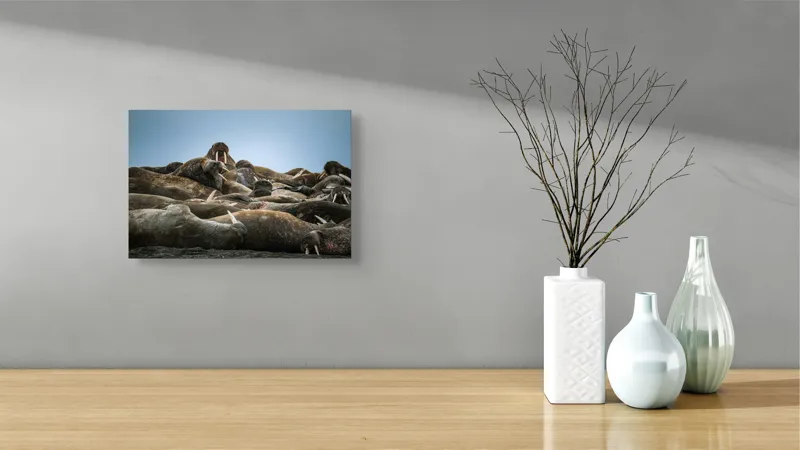 Tablou Canvas, "În împărăția morsei somnoroase", 39 x 26 cm – poza 8