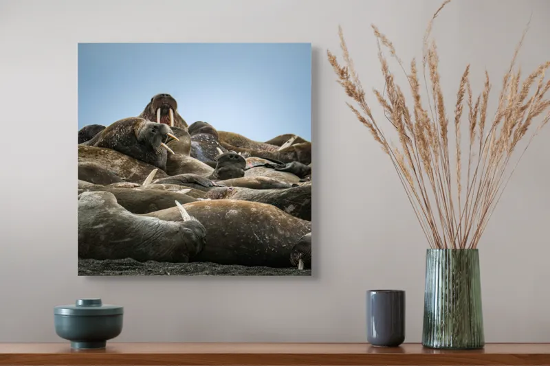 Tablou Canvas, "În împărăția morsei somnoroase", 50 x 50 cm – poza 4