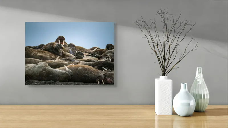 Tablou Canvas, "În împărăția morsei somnoroase", 54 x 39 cm – poza 3