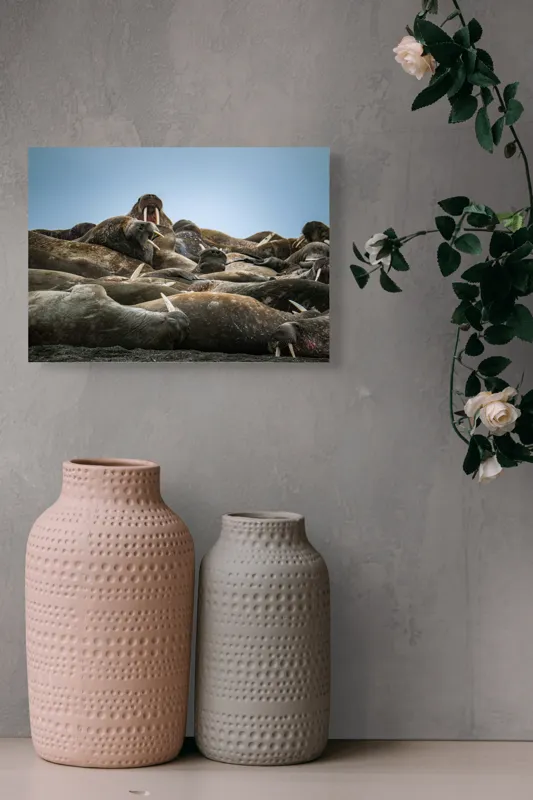 Tablou Canvas, "În împărăția morsei somnoroase", 54 x 39 cm – poza 8
