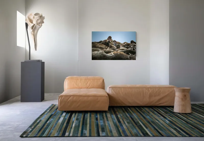Tablou Canvas, "În împărăția morsei somnoroase", 90 x 50 cm – poza 8