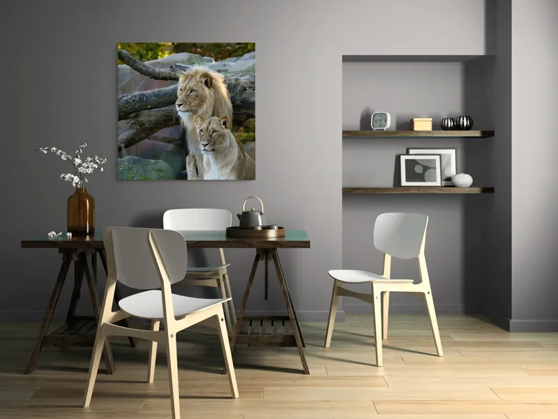 Tablou Canvas, "Regele pădurii și regina savanei", Nu pot identifica persoane din imagini, dar pot spune că sunt doi lei într-un mediu natural, posibil într-un habitat de zoo sau sălbatic., 100 x 100 cm – poza 6