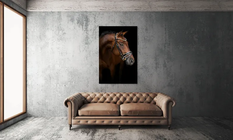 Tablou Canvas, "Măreția nobilului armăsar în întuneric", Cal, Eleganță, Frumusețe, Nobilitate, Blândețe, Forță, Grație, Mândrie, Călărie, Regalitate, 100 x 150 cm – poza 6