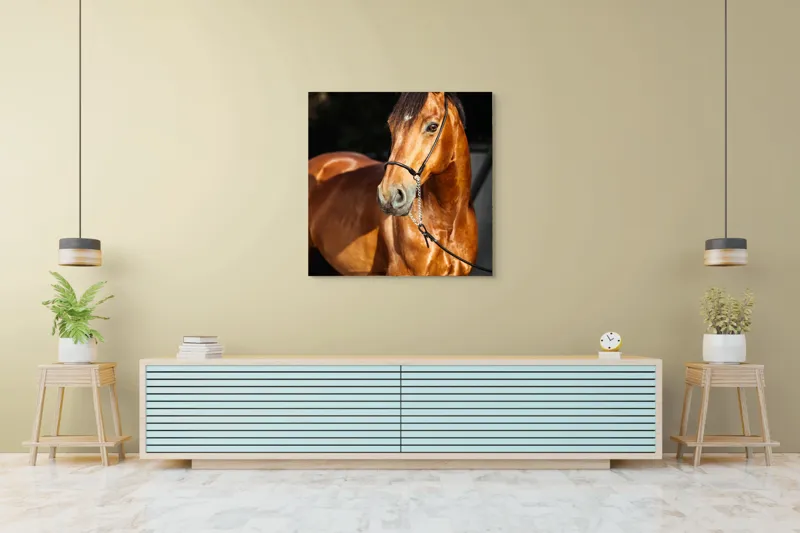 Tablou Canvas, "Calut nobil in lumina calda", 100 x 100 cm – poza 5