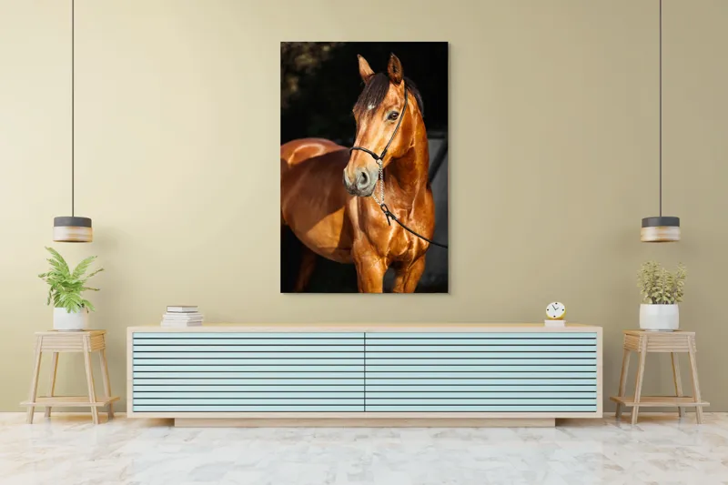 Tablou Canvas, "Calut nobil in lumina calda", 100 x 150 cm – poza 4
